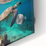 Large abstract acrylic print of Caribbean Aruba scenery in vibrant blue and green tones, ideal for dining room art.