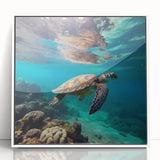 Mid-century modernist acrylic print of a Caribbean Aruba scenery in a white frame, suitable for nursery wall art.