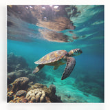 Black and white photograph of a Caribbean beach on stretched canvas, ideal for kitchen wall art or bedroom ambiance.