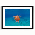 Extra large, colorful abstract art print of the Caribbean Virgin Islands, textured on a black framed mat.