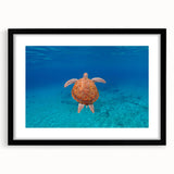Extra large, colorful abstract art print of the Caribbean Virgin Islands, textured on a black framed mat.
