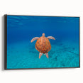 Black and white framed canvas of Caribbean Virgin Islands landscape, ideal for bedroom wall art.