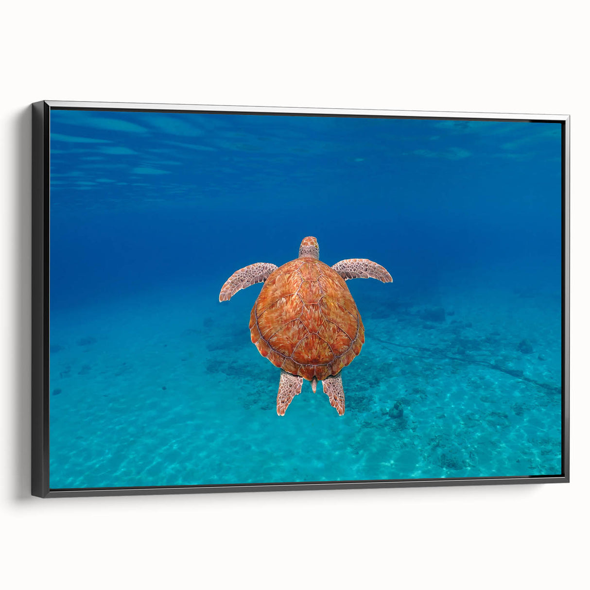 Black and white framed canvas of Caribbean Virgin Islands landscape, ideal for bedroom wall art.