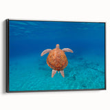 Black and white framed canvas of Caribbean Virgin Islands landscape, ideal for bedroom wall art.