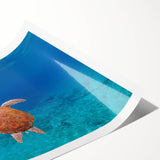 Extra large wall art featuring line art flowers and a Caribbean Virgin Islands scenery on a rolled print.