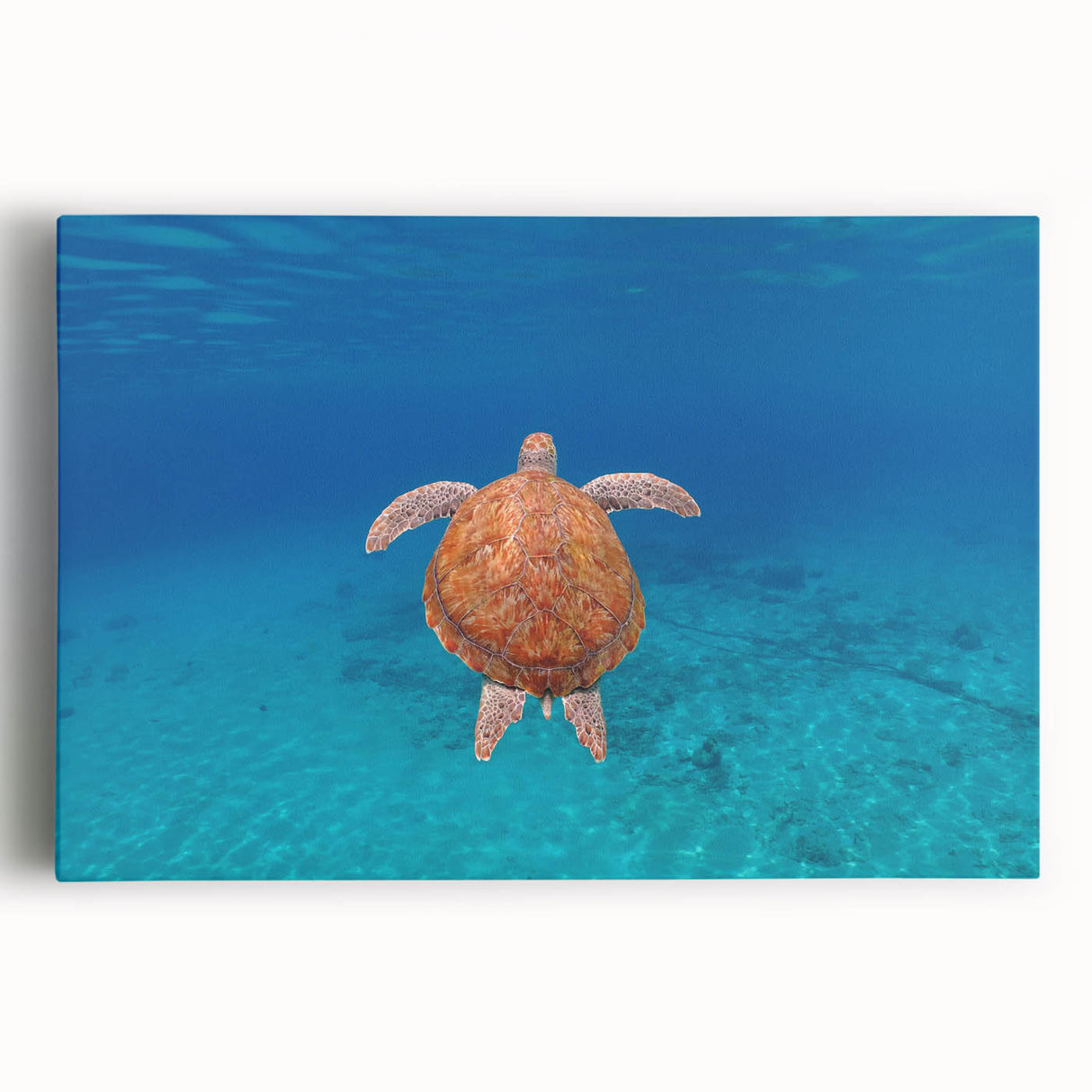 Black and white photograph of the Caribbean Virgin Islands on stretched canvas, ideal for kitchen wall art.