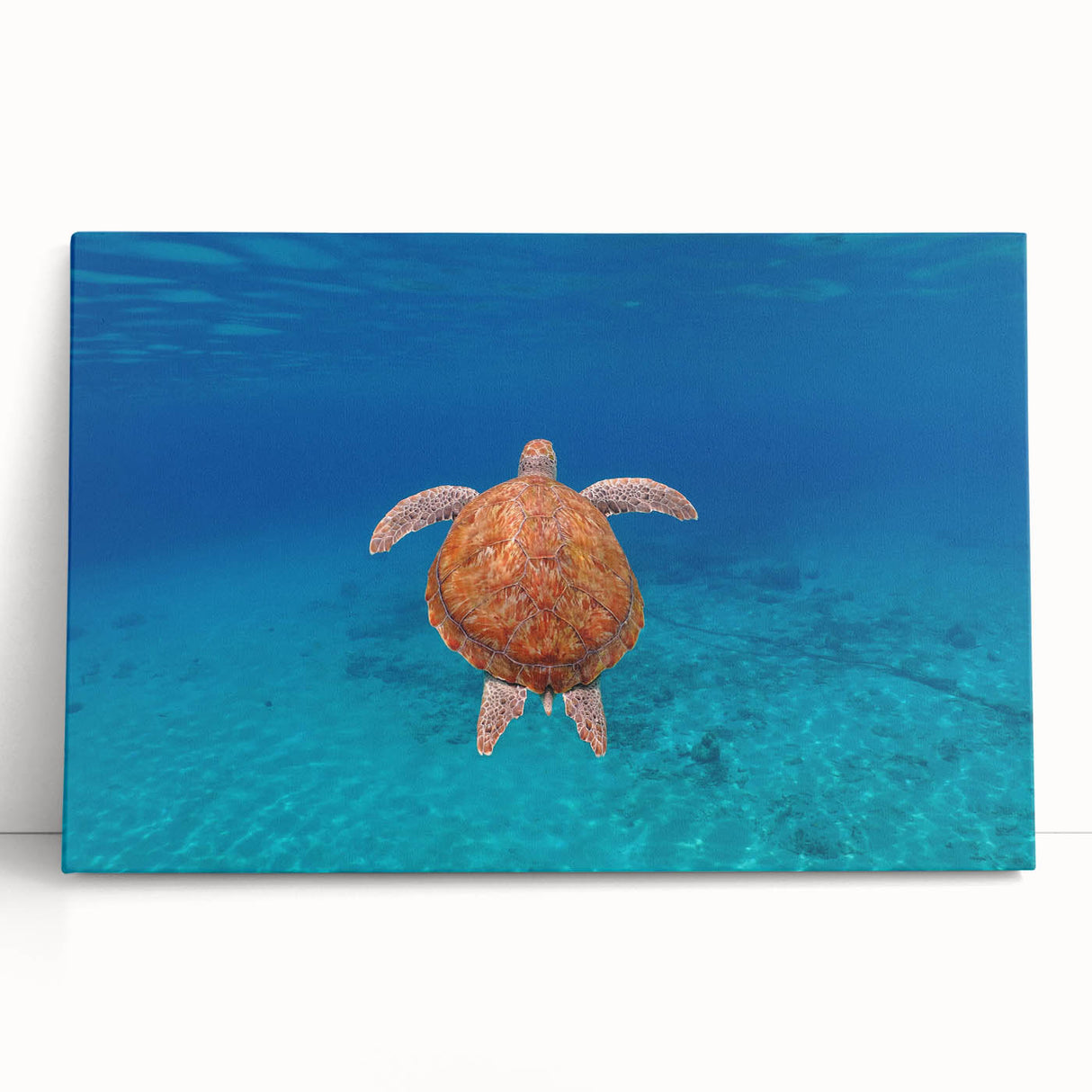 Black and white photograph of the Caribbean Virgin Islands on a large stretched canvas, ideal for kitchen wall art.