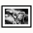 Abstract art print featuring vibrant, colorful textures of a Central American scenery, framed in black.