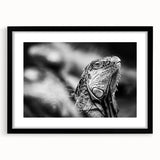 Abstract art print featuring vibrant, colorful textures of a Central American scenery, framed in black.