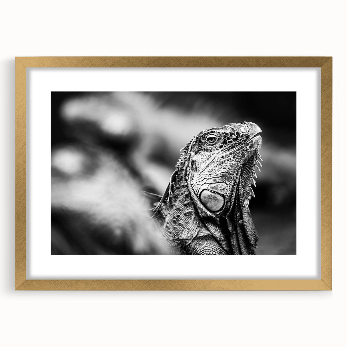 Extra large abstract art print of a textured Costa Rican landscape in muted earth tones, framed in gold.