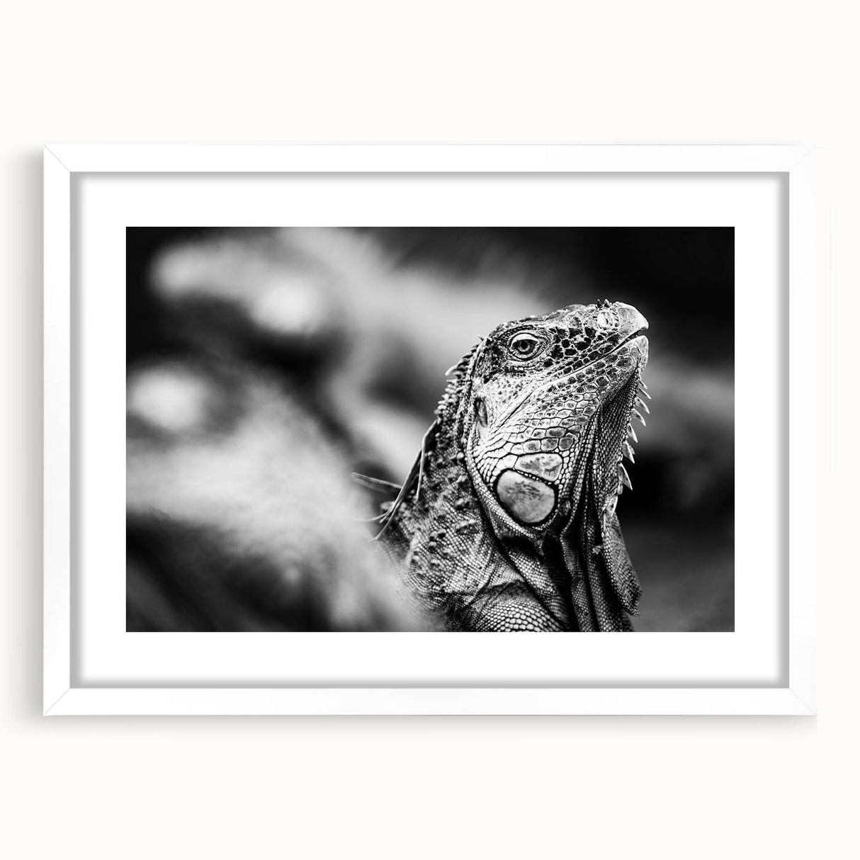 Abstract art print of a Central American landscape in muted earth tones, framed with a white mat.