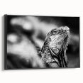 Black and white framed canvas of a Costa Rican landscape, featuring vintage poster art style, ideal for bedroom decor.
