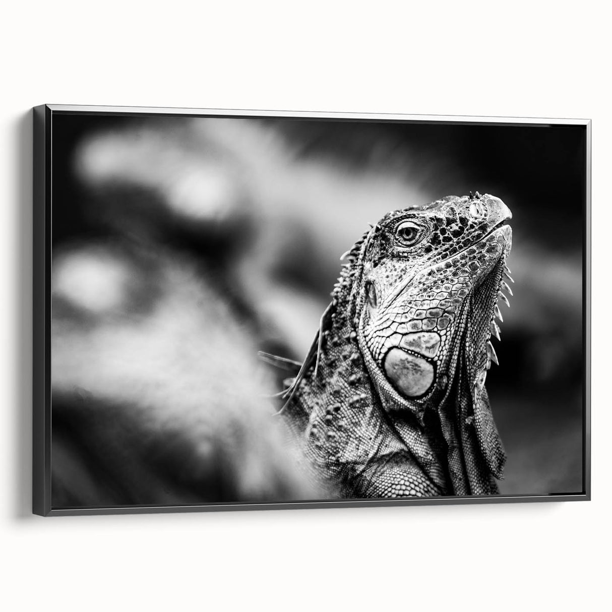 Black and white framed canvas of a Costa Rican landscape, featuring vintage poster art style, ideal for bedroom decor.