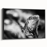 Black and white framed canvas of a Costa Rican landscape, featuring vintage poster art style, ideal for bedroom decor.