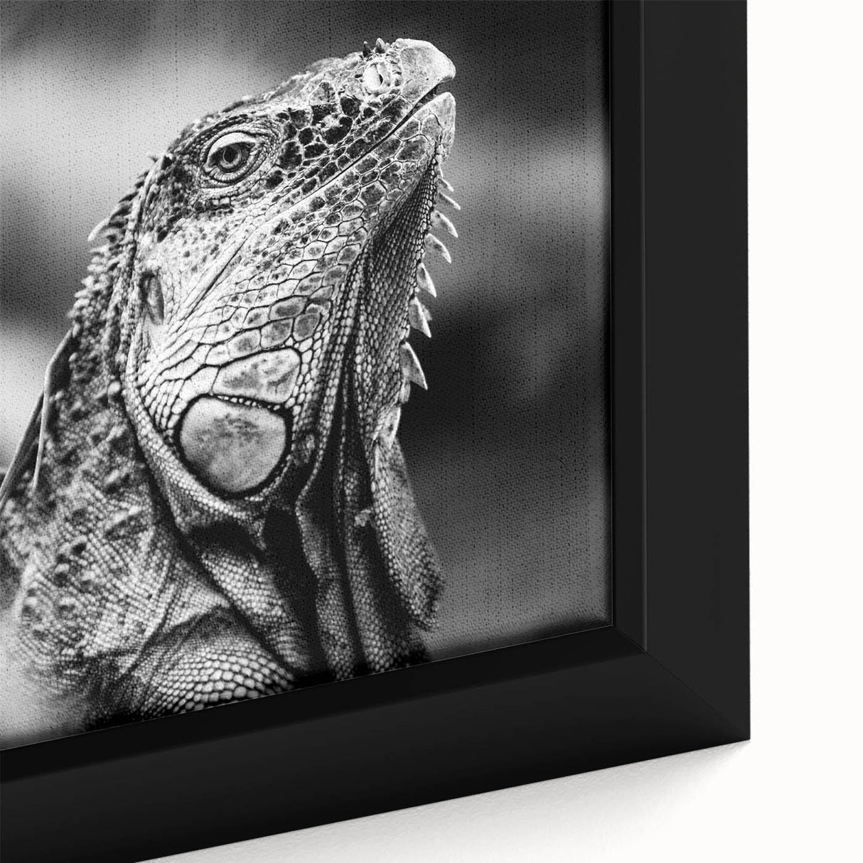 Extra large black wall art featuring a textured, colorful Costa Rican landscape on a framed canvas.