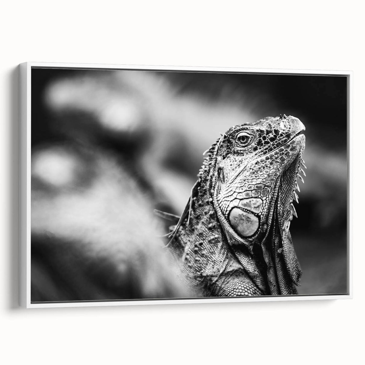 Vintage poster art of a Costa Rican landscape on a framed canvas, featuring vibrant colors, ideal for living room decor.