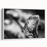 Vintage poster art of a Costa Rican landscape on a framed canvas, featuring vibrant colors, ideal for living room decor.
