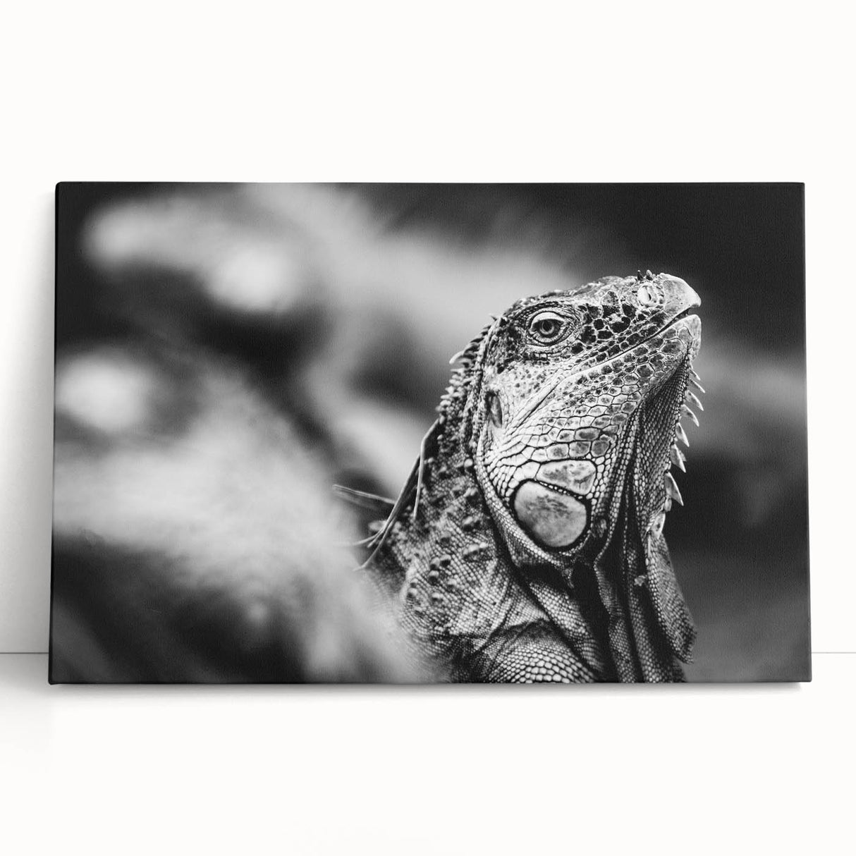 Black and white photograph of a Costa Rican landscape on a large stretched canvas.