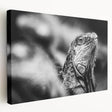 Lush Costa Rican landscape on large stretched canvas, featuring vibrant green tones, ideal for kitchen wall art.