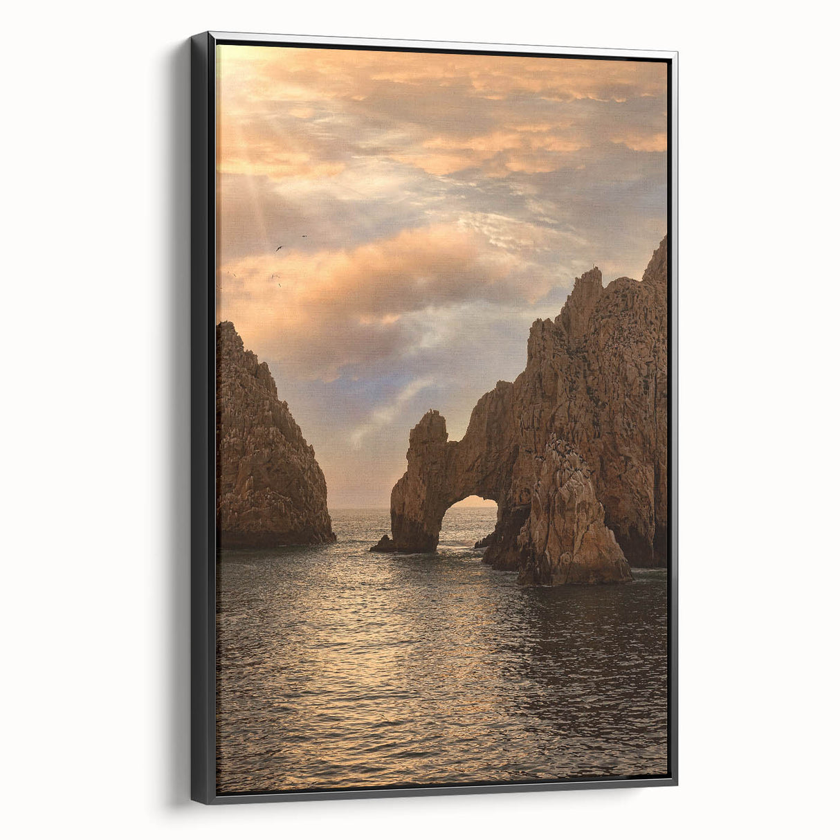 Black and white framed canvas of Cabo San Lucas landscape, ideal for bedroom wall decor.