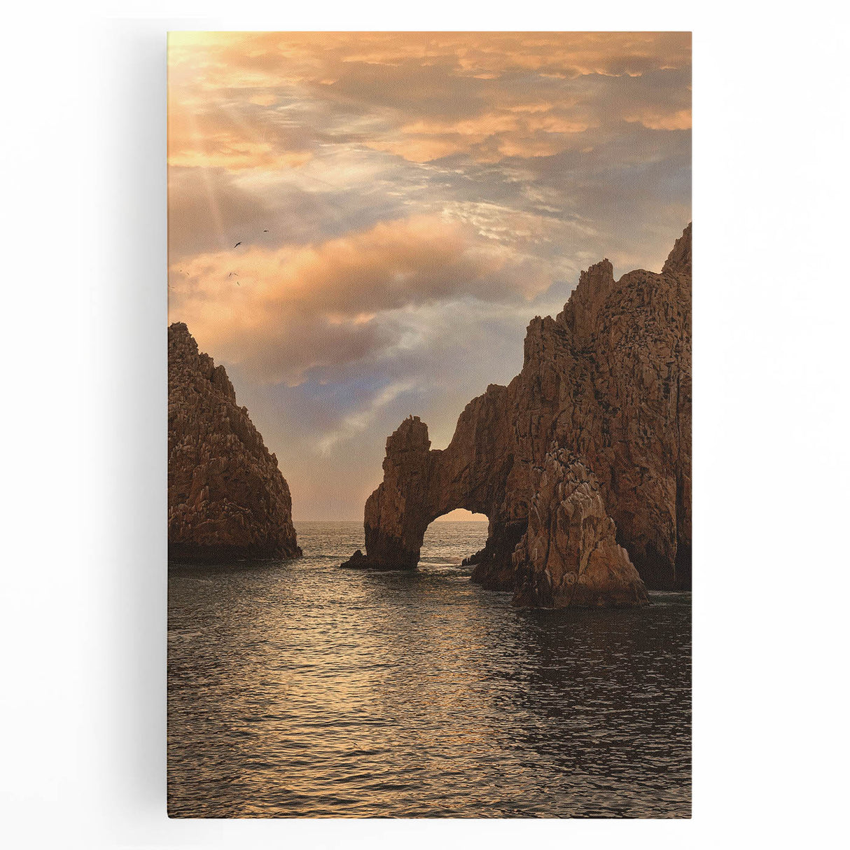 Black and white stretched canvas of Cabo San Lucas scenery, ideal for kitchen wall art.