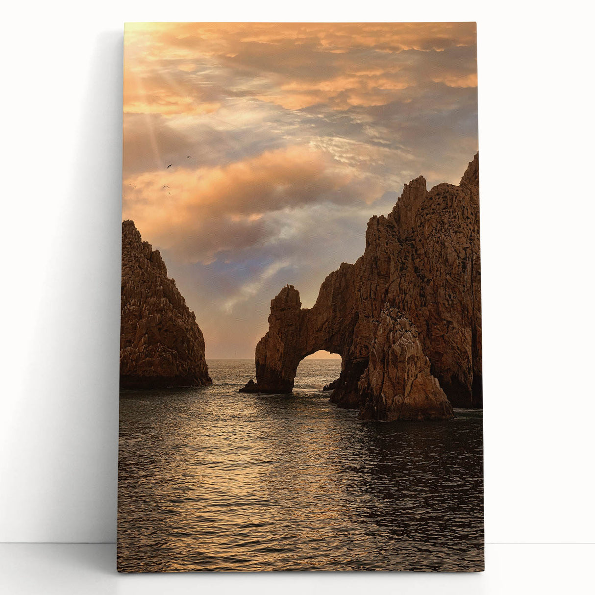 Large art of Cabo San Lucas landscape in black and white on stretched canvas, ideal for bedroom wall decor.