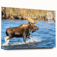 Acrylic print of Denali, Alaska in muted earth tones, ideal for enhancing bedroom or dining room decor.