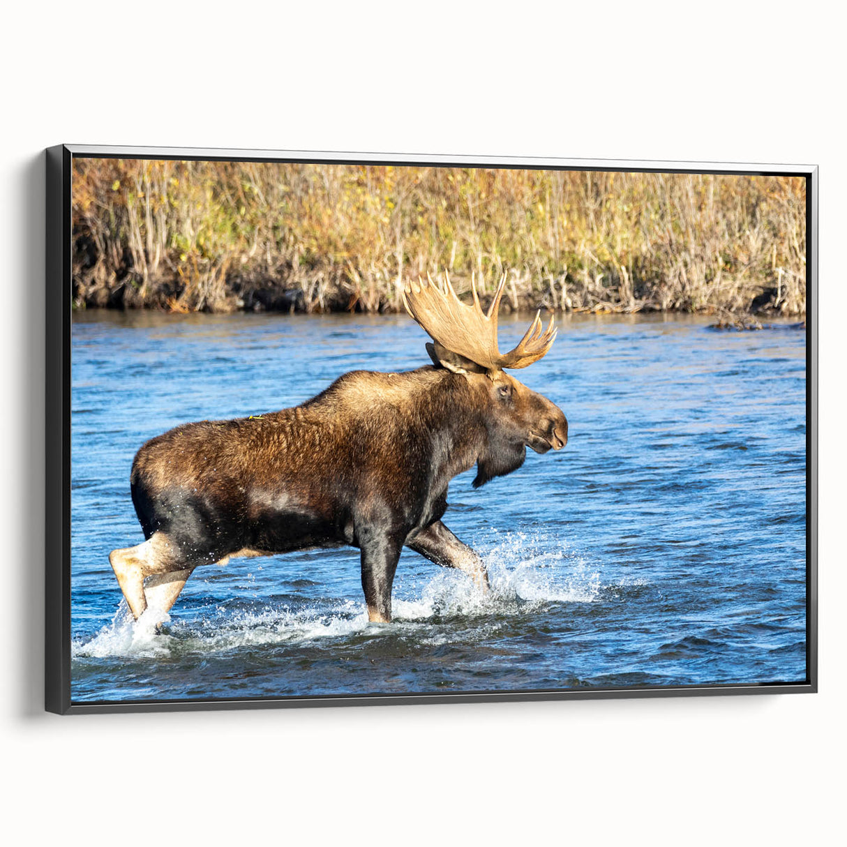 Black and white framed canvas of Denali, Alaska landscape, ideal for bedroom wall decor.