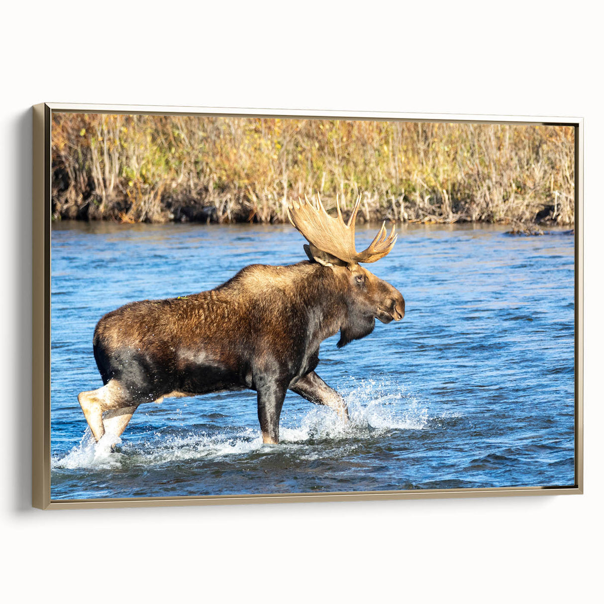 Framed canvas featuring a vintage-style landscape painting of Denali, Alaska, with muted earth tones.