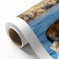 Art deco poster of Denali, Alaska, in cool blue tones on rolled canvas, ideal for nursery wall art.