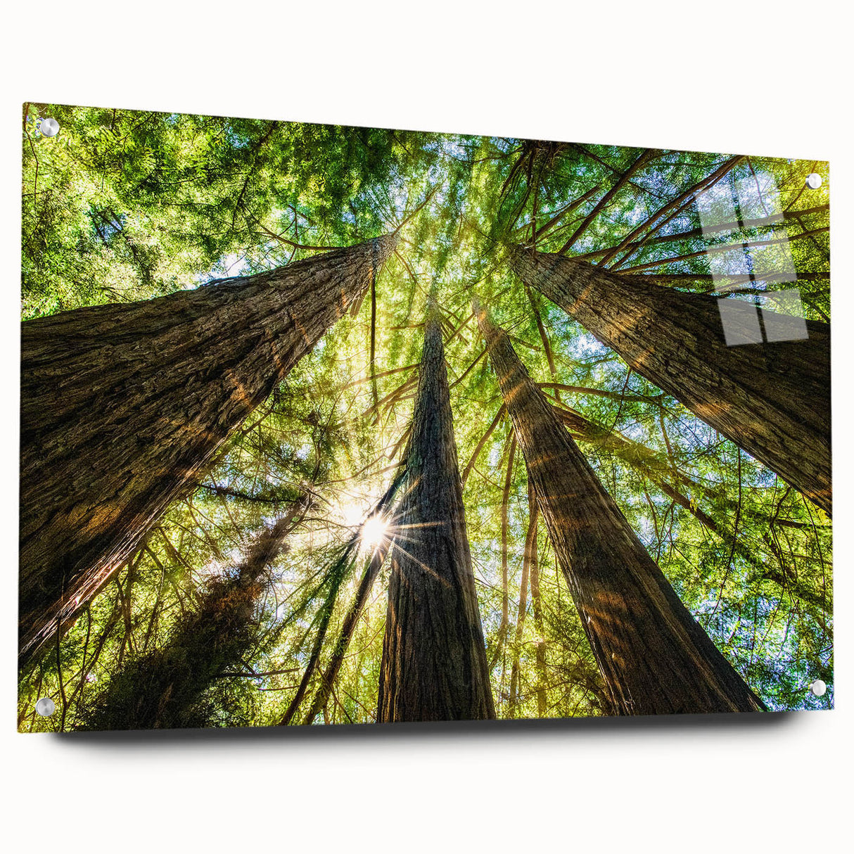Acrylic print of Big Sur coastline in muted blue and green tones, suitable for bedroom or dining room decor.
