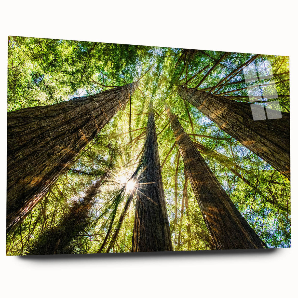 Large abstract wall art of Big Sur coastline on acrylic glass, in muted blue and green tones.