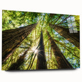 Large abstract wall art of Big Sur coastline on acrylic glass, in muted blue and green tones.