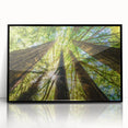 Large abstract wall art depicting California's Big Sur in muted earth tones on a framed acrylic.