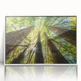 Acrylic print of Big Sur coastline in muted blues and greens, framed in white, suitable for modern art wall decor.