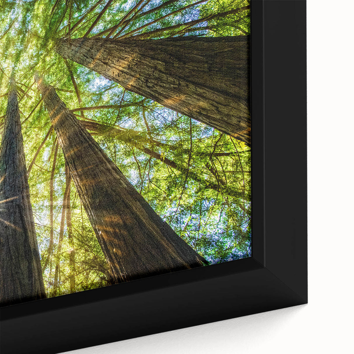 Extra large framed canvas featuring a textured depiction of Big Sur in vibrant colors on a black background.