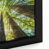 Extra large framed canvas featuring a textured depiction of Big Sur in vibrant colors on a black background.