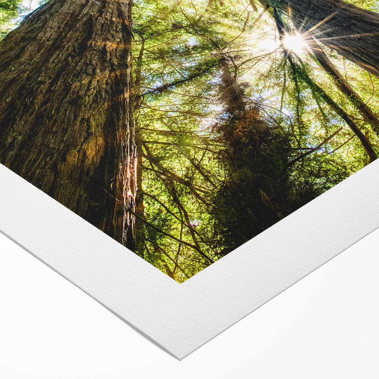 Art deco poster featuring a serene Big Sur landscape in muted earth tones on rolled canvas, suitable for dining room decor.