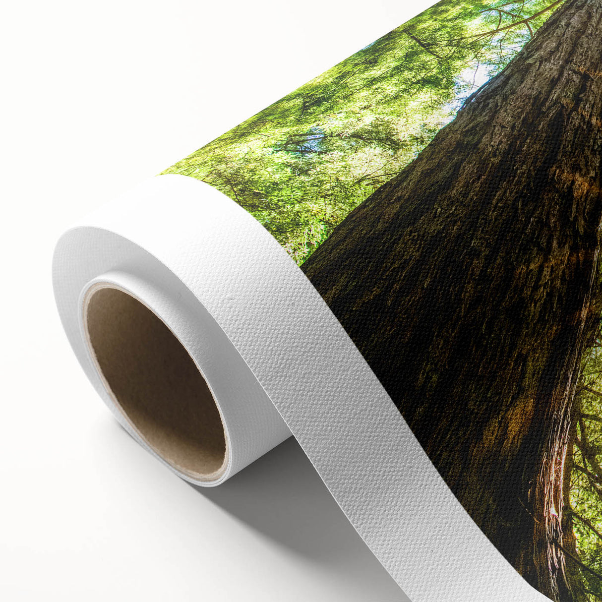 Art Deco style poster of Big Sur California scenery on rolled canvas, suitable for nursery wall art or dining room.