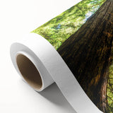 Art Deco style poster of Big Sur California scenery on rolled canvas, suitable for nursery wall art or dining room.