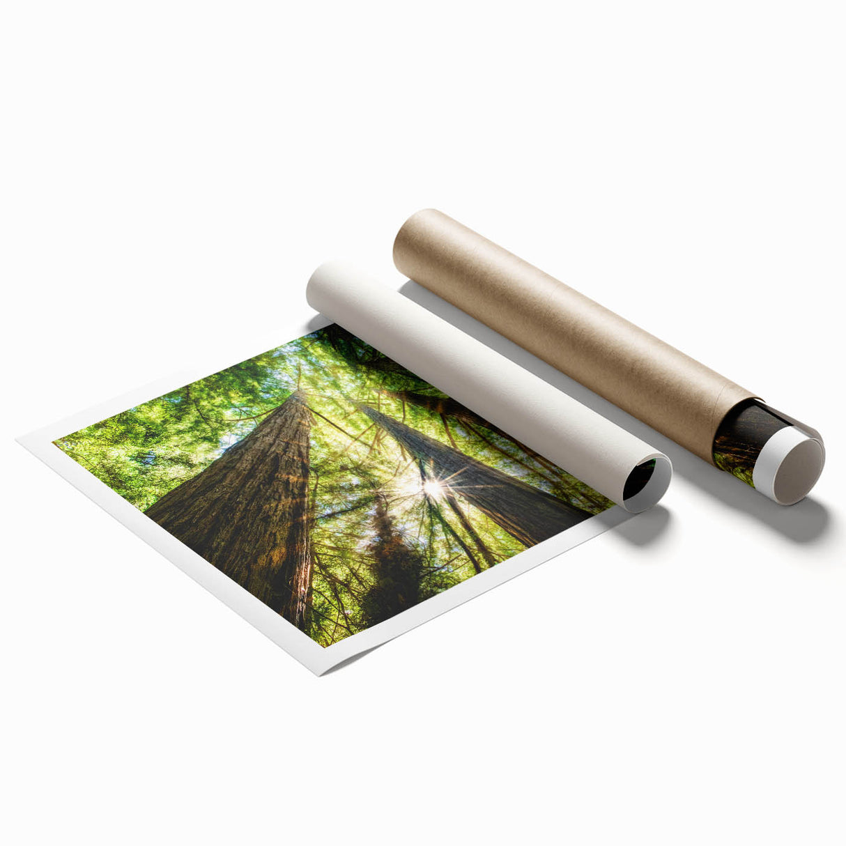 Extra large wall art featuring a serene Big Sur landscape on a rolled canvas, in soft green and blue tones.