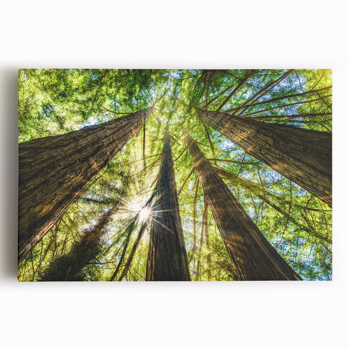 Black and white photo of Big Sur on stretched canvas, ideal for kitchen wall art.