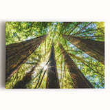 Black and white photo of Big Sur on stretched canvas, ideal for kitchen wall art.