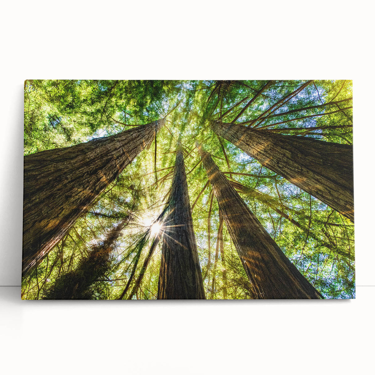 Black and white stretched canvas of Big Sur coastline, ideal for kitchen wall art or bedroom ambiance.