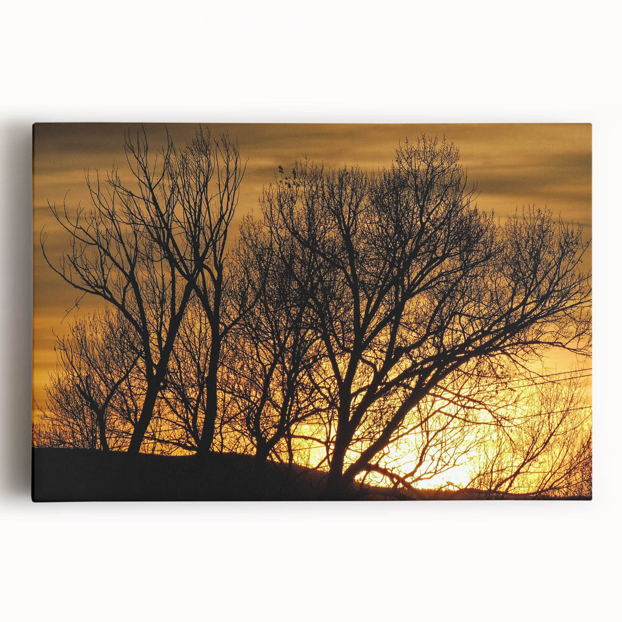 Black and white stretched canvas of Vail, Colorado landscape, ideal for kitchen wall art.