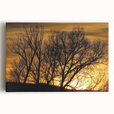 Black and white stretched canvas of Vail, Colorado landscape, ideal for kitchen wall art.