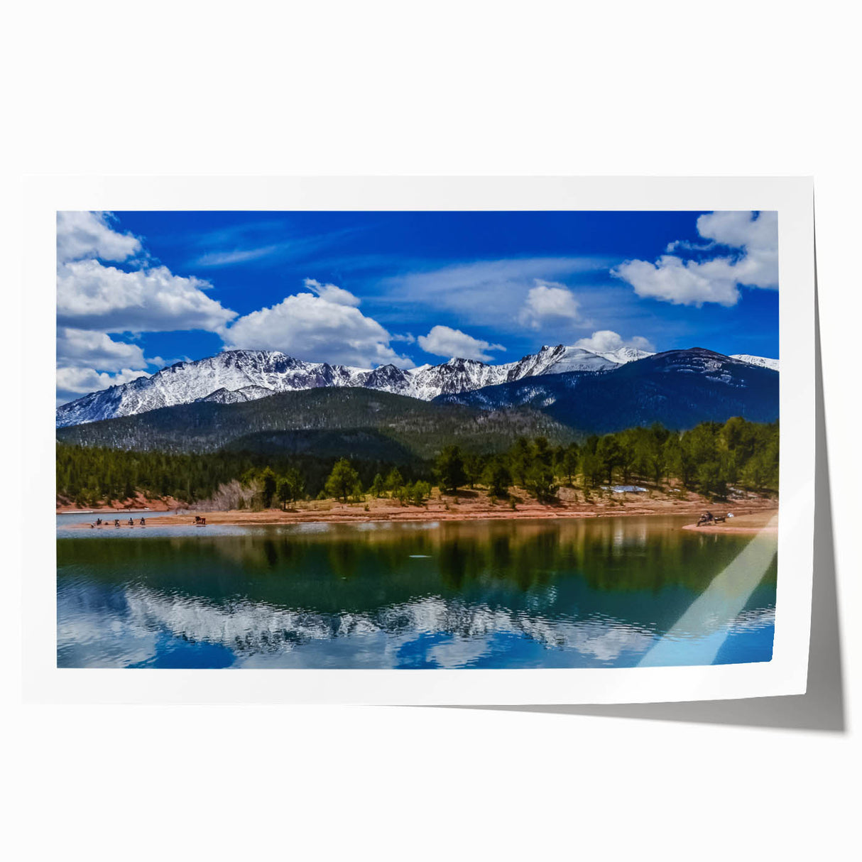 Rolled print of Colorado Springs scenery with soft floral accents in earthy tones.