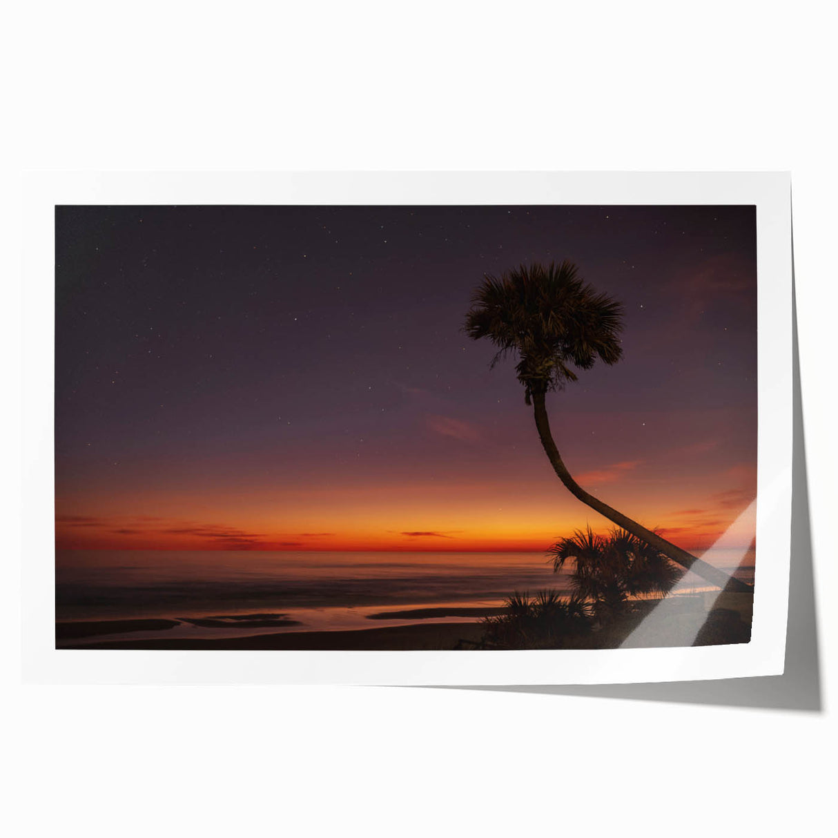 Rolled print of Daytona scenery with floral elements in soft pastel colors, suitable for art wall dining room.