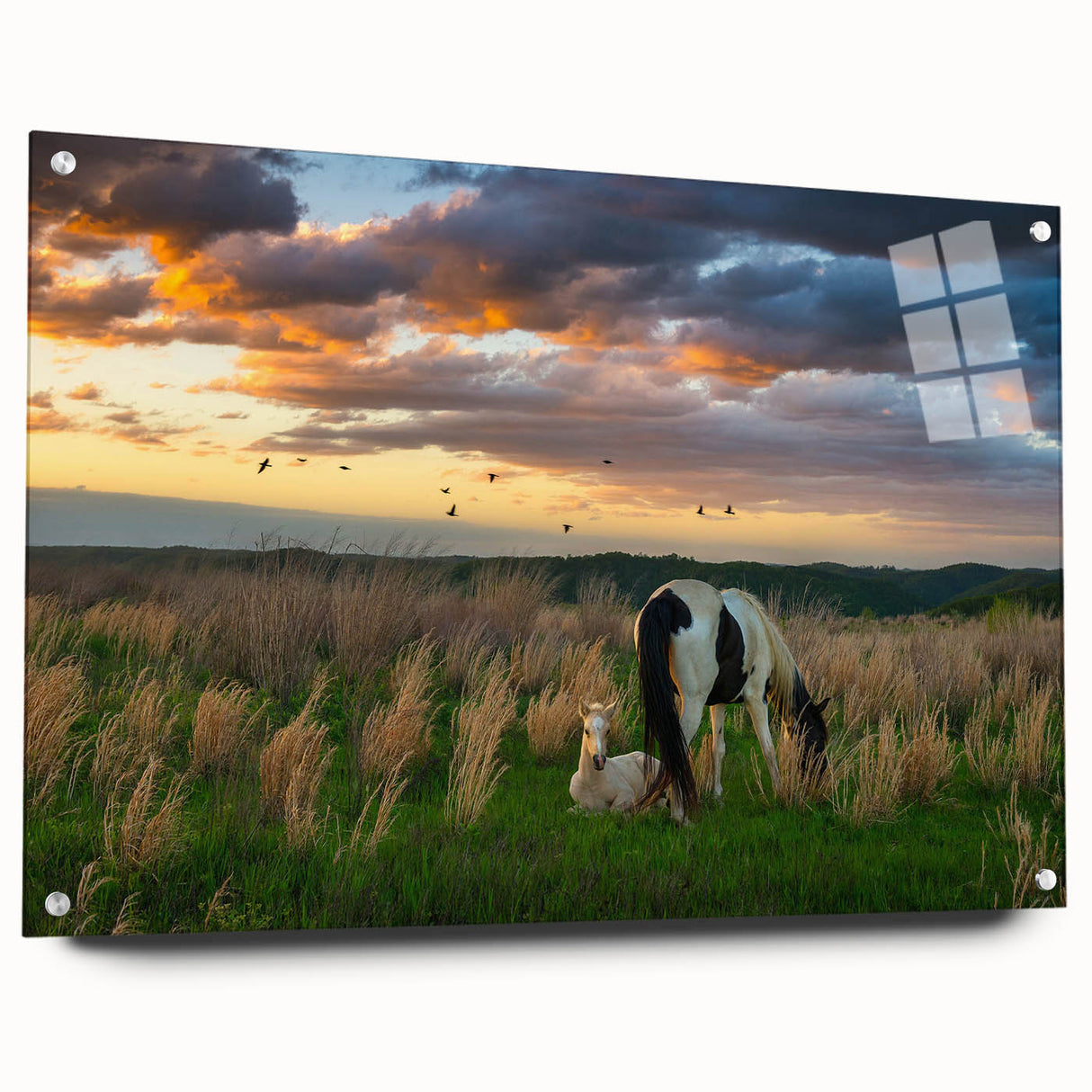 Acrylic print of a large abstract depiction of Kentucky scenery in muted earth tones, ideal for dining room decor.