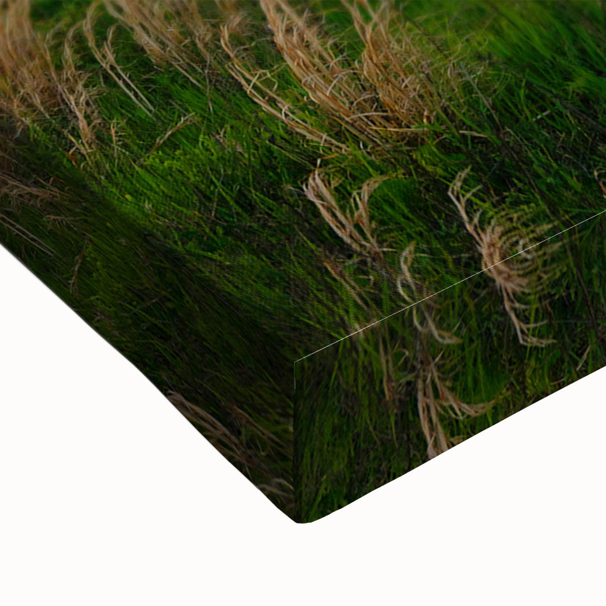 A large art piece depicting a black and white Kentucky landscape on stretched canvas, suitable for bedroom decor.